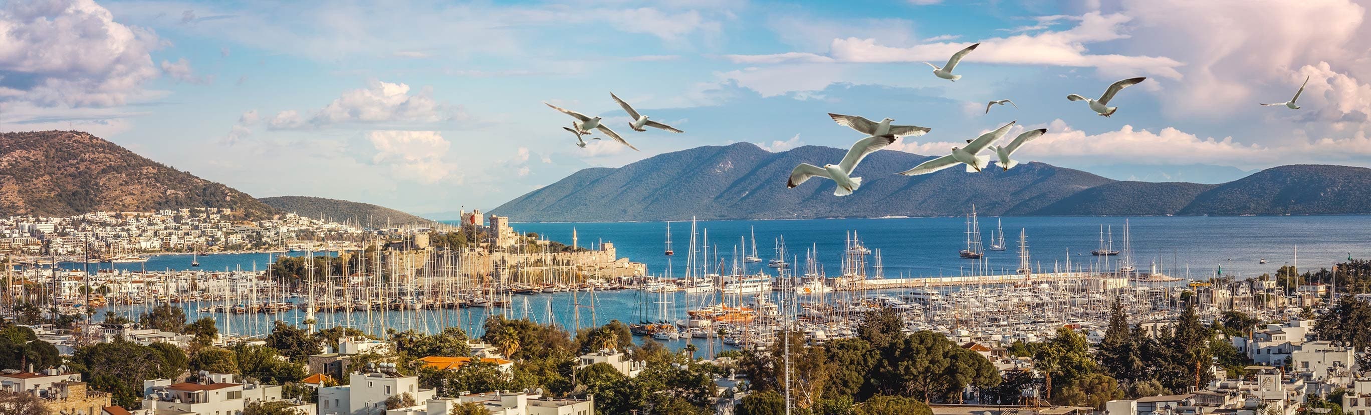 Milas Bodrum Airport - Bodrum Centre Transfer