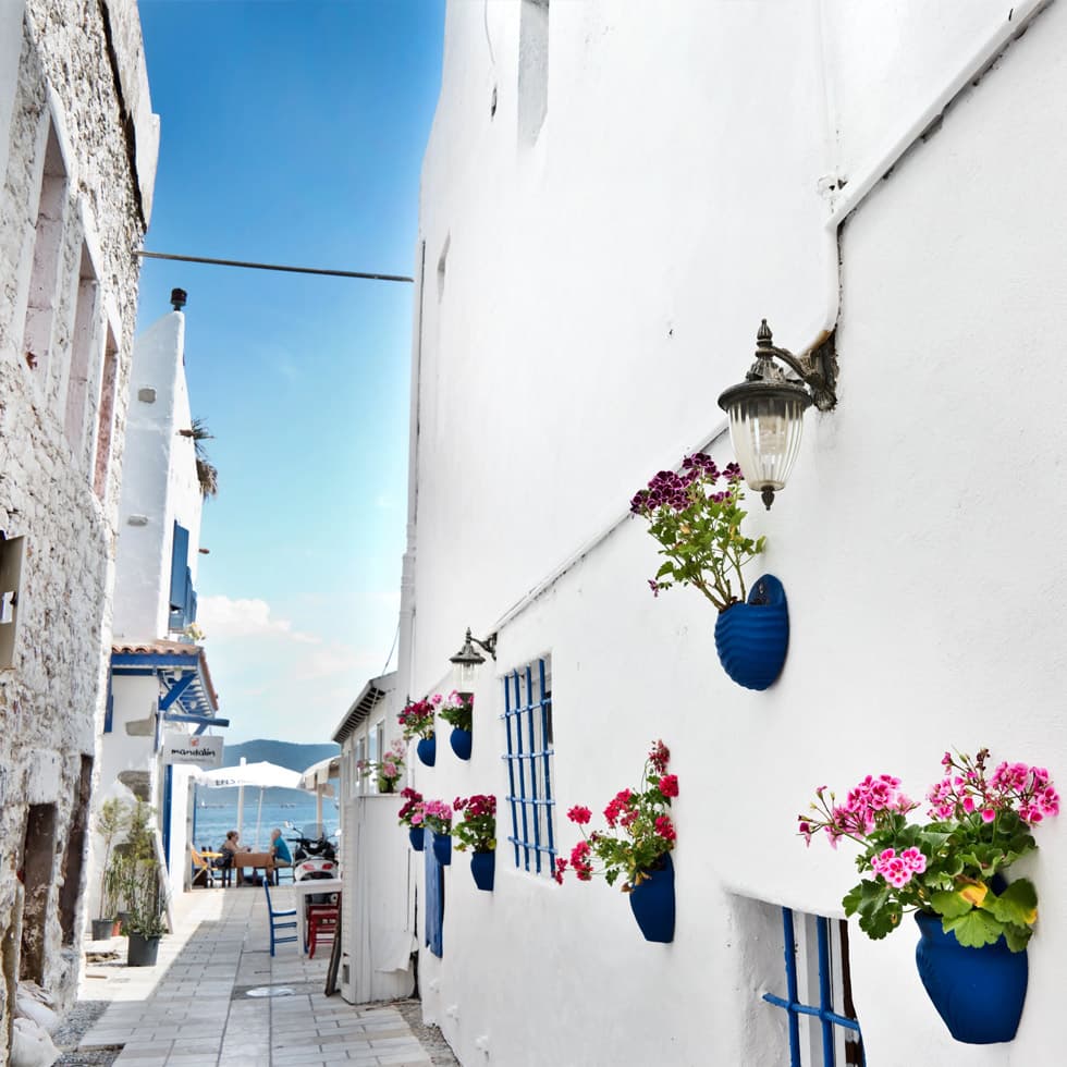 Milas Bodrum Havalimanı - Akyarlar Transfer