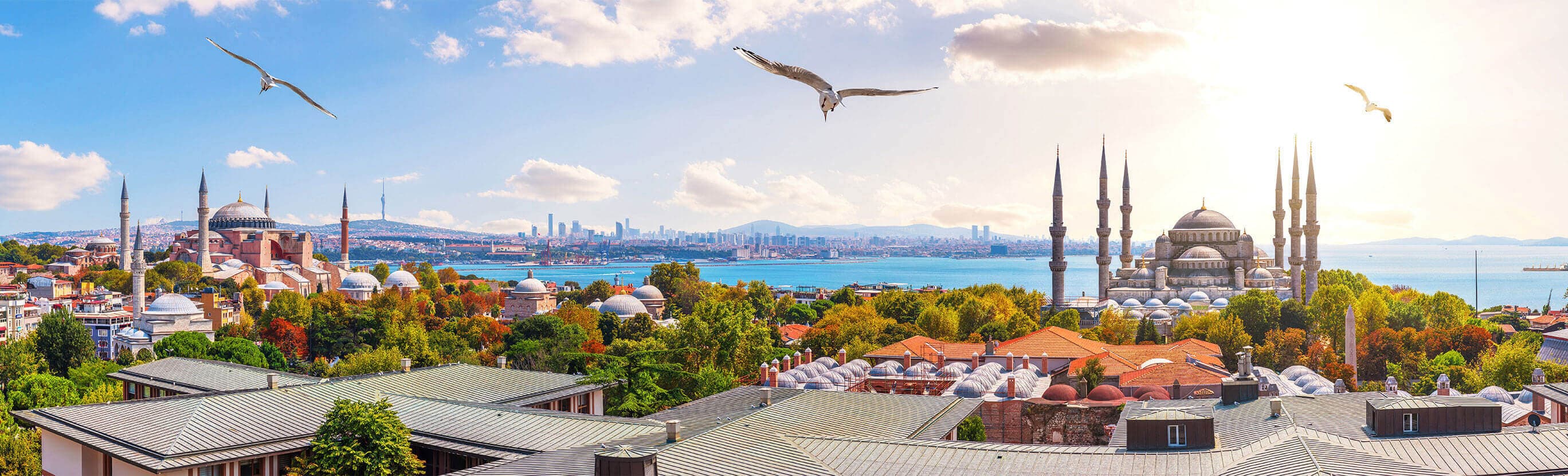 Istanbul Airport - Sultanahmet Transfer